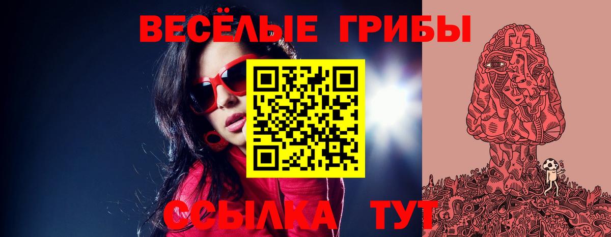 Псилоцибиновые грибы Psilocybe Дзержинск